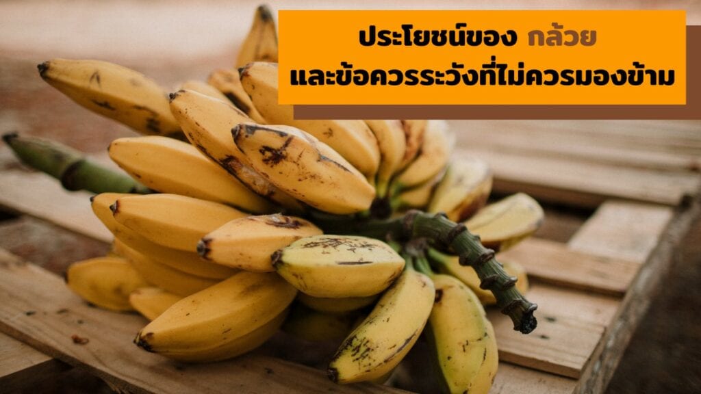 ประโยชน์ของกล้วย