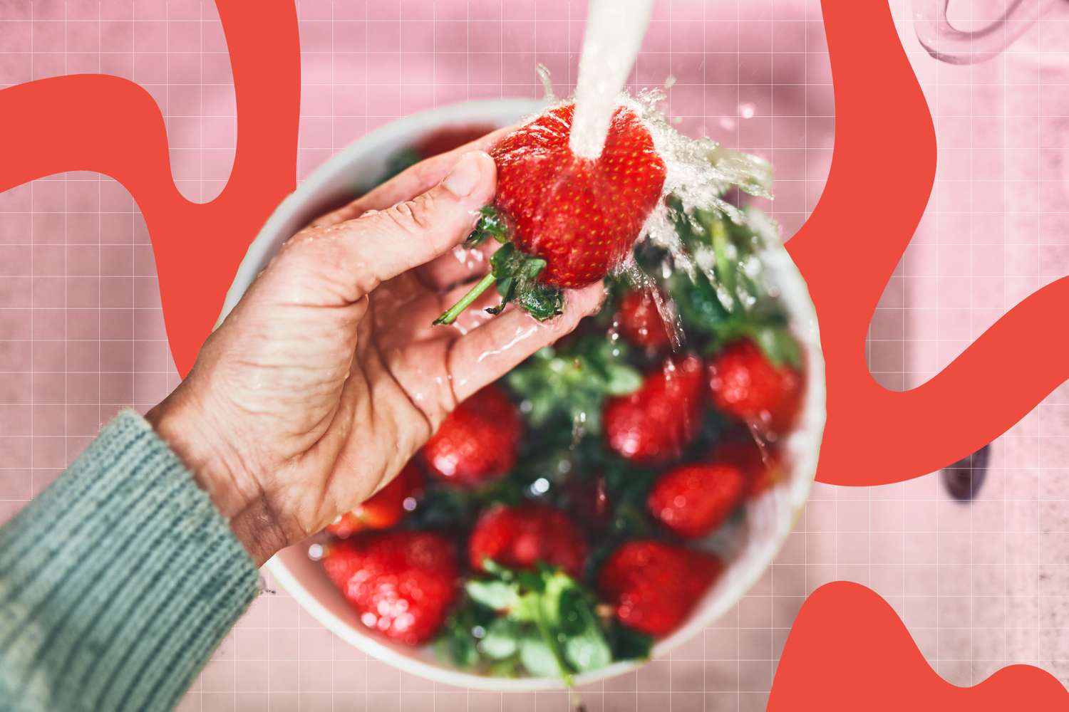 นักวิทยาศาสตร์อาหาร, แนะนำ, เครื่องมือ, ล้างผักผลไม้, ปลอดภัย, เริ่มต้นที่ 9 ดอลลาร์